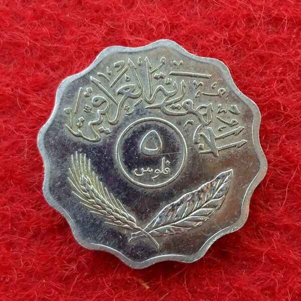 Iraq 5 Fils 1401 (1981) Coin (Stainless Steel)