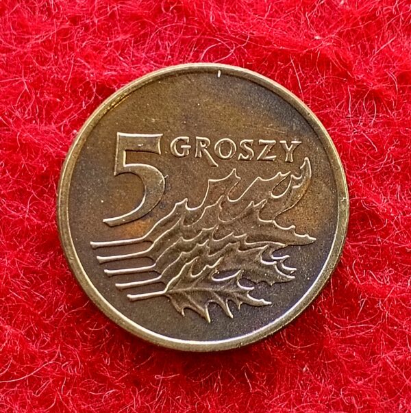 Poland 5 Groszy 1991 Coin