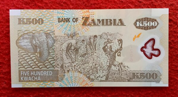  Zambia 500 Kwacha Egale 2009 Polymer Banknote - Image 2