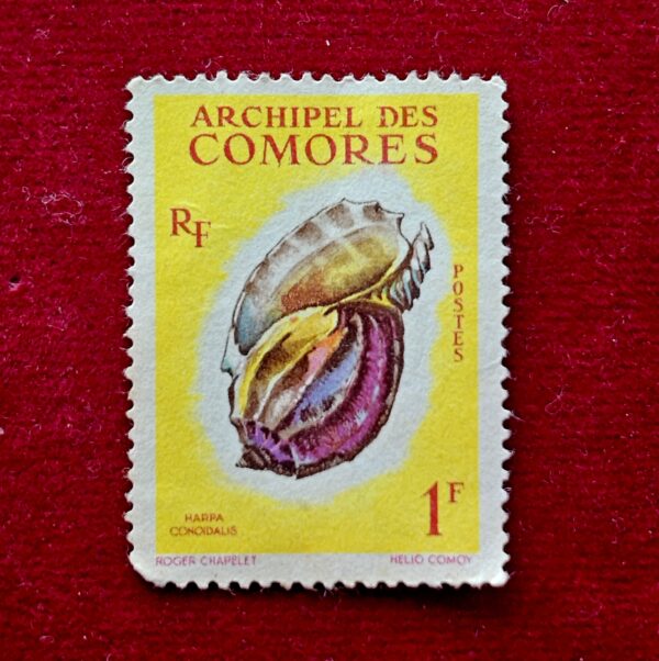 Stamp - Comoro Islands 1962 1fr Harpa Conoidalis Sea Shell