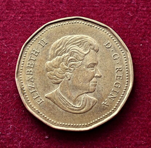 Canada 1 Dollar - Elizabeth II 2004 Coin - Image 2