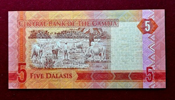 Gambia 5 Dalasis 2015 Banknote - Image 2
