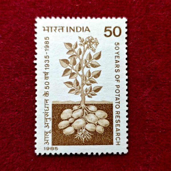 Stamp - 1985 Potato Research In India