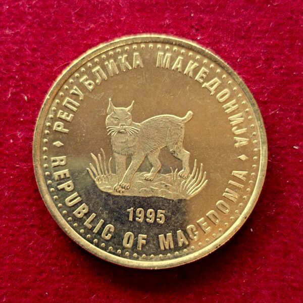 North Macedonia 5 Denari FAO 1995 Coin - Image 2