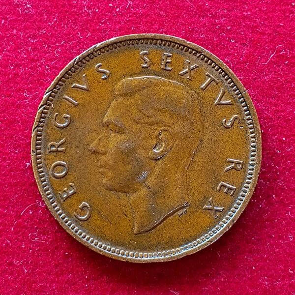 South Africa 1/2 Penny - George VI Sextus Rex 1950 Coin - Image 2